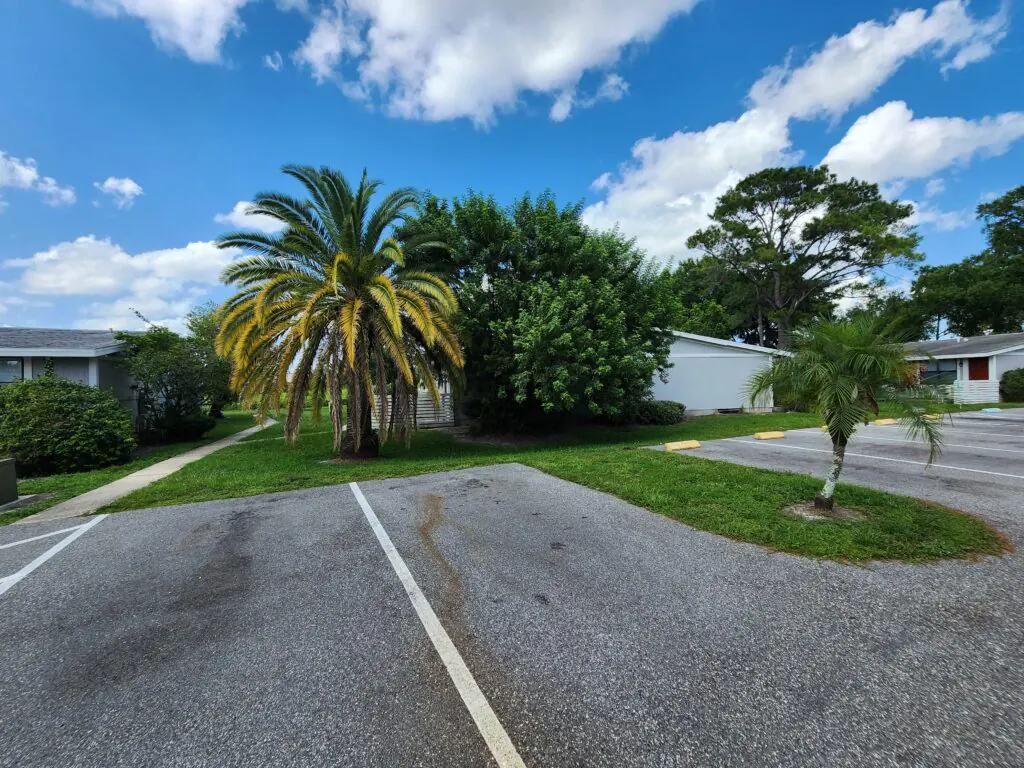 Palm trees and parking beside single-story Heatherwood apartment homes
