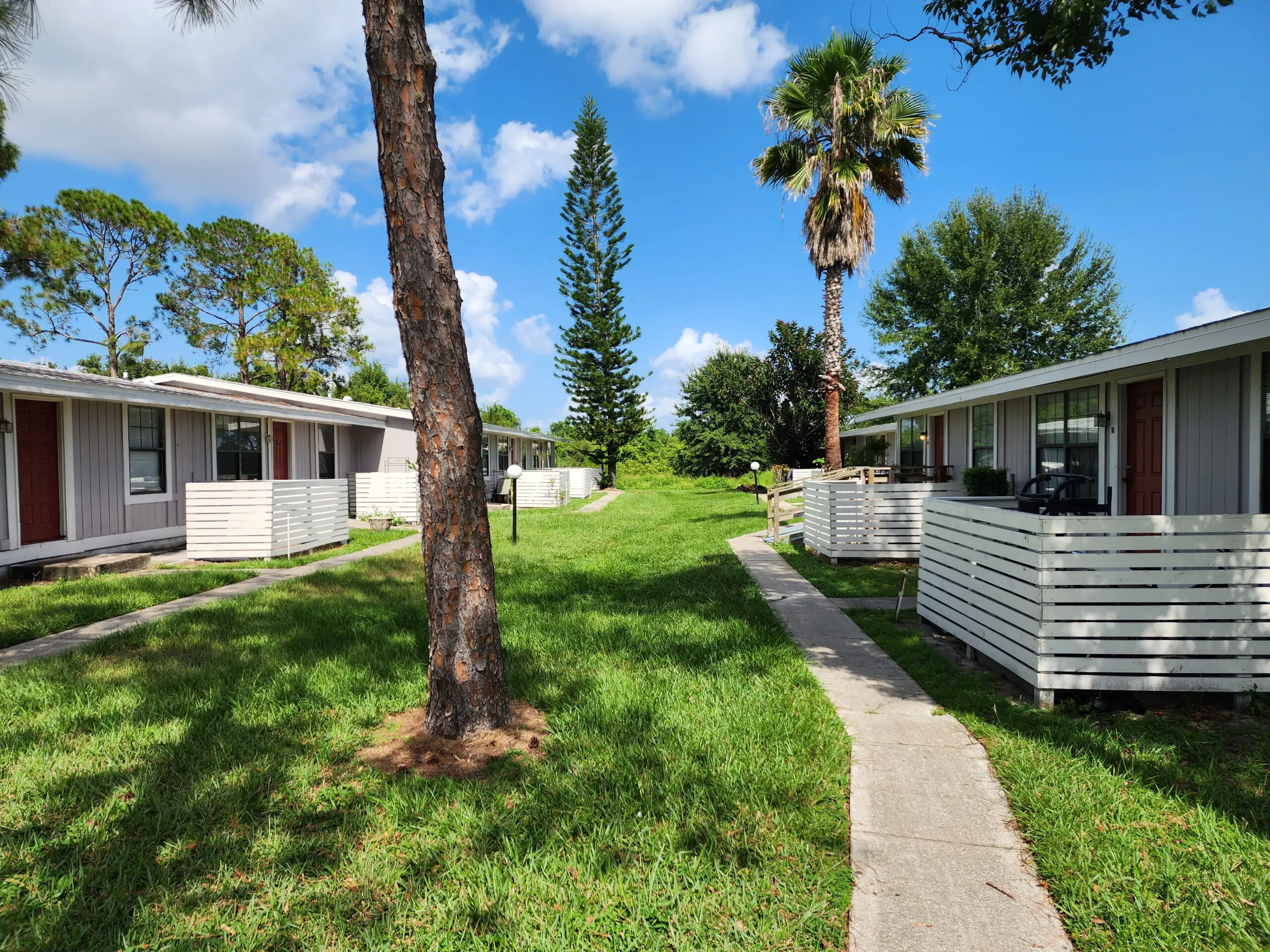 Tree-lined walkway between Heatherwood apartment homes